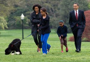 US-POLITICS-OBAMA-DOG