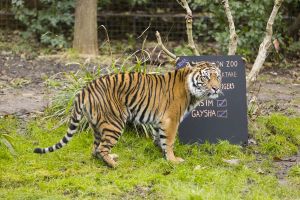 Taking stock… ZSL London Zoo’s annual stocktake