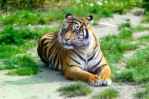 Zoo Osnabrueck