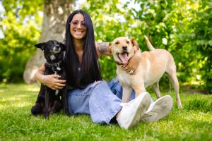 In Park With Dogs