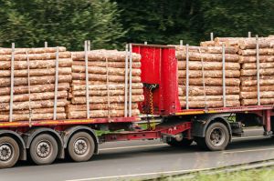Truck with wooden logs