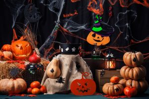Photo zone, decorations for Halloween.