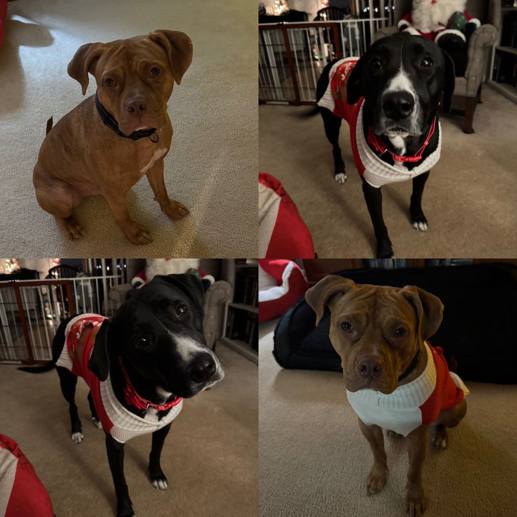 Sadie&Valor